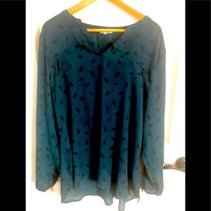 Sheer long sleeve blouse